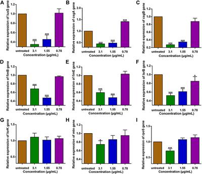 1,8-Cineole inhibits biofilm formation and bacterial pathogenicity by suppressing luxS gene expression in Escherichia coli